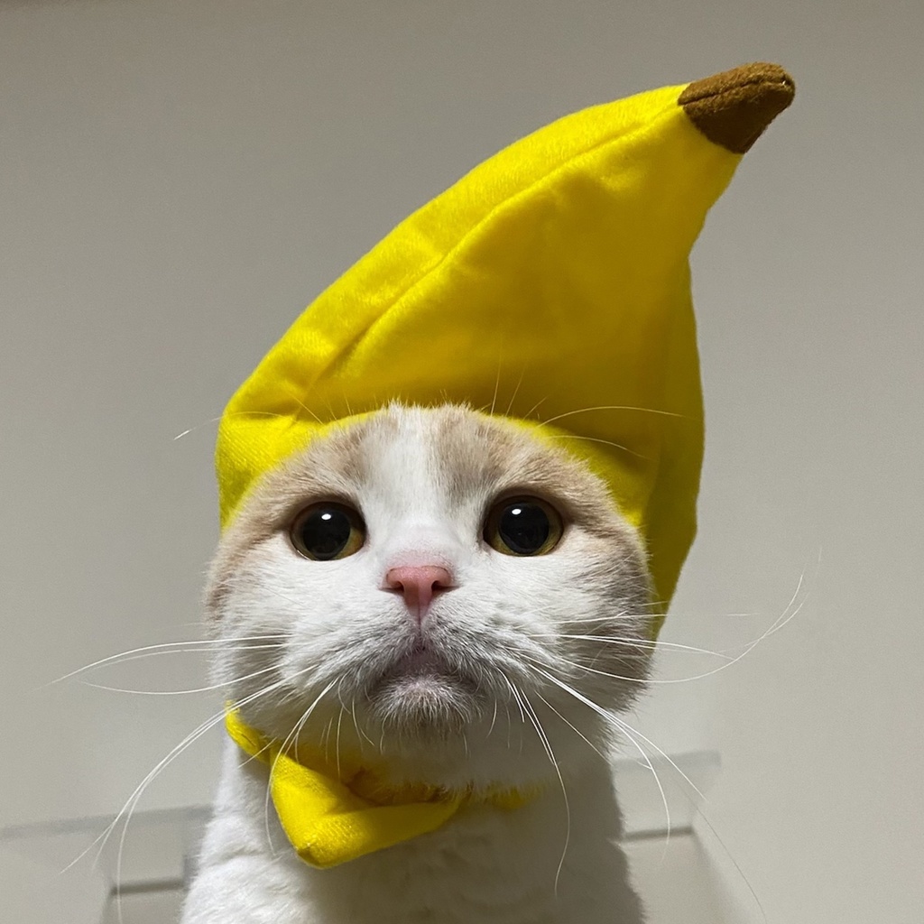 じろきち店長おふぃしゃるかれんだー2021