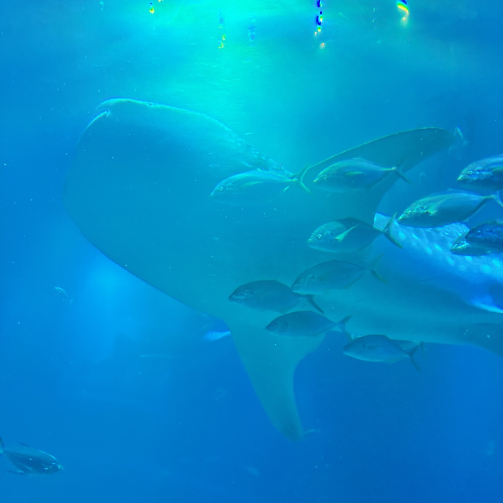 花緑青様専用スマホケース