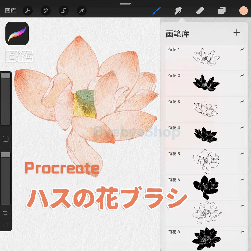 ハスの花ブラシ【Procreate用】