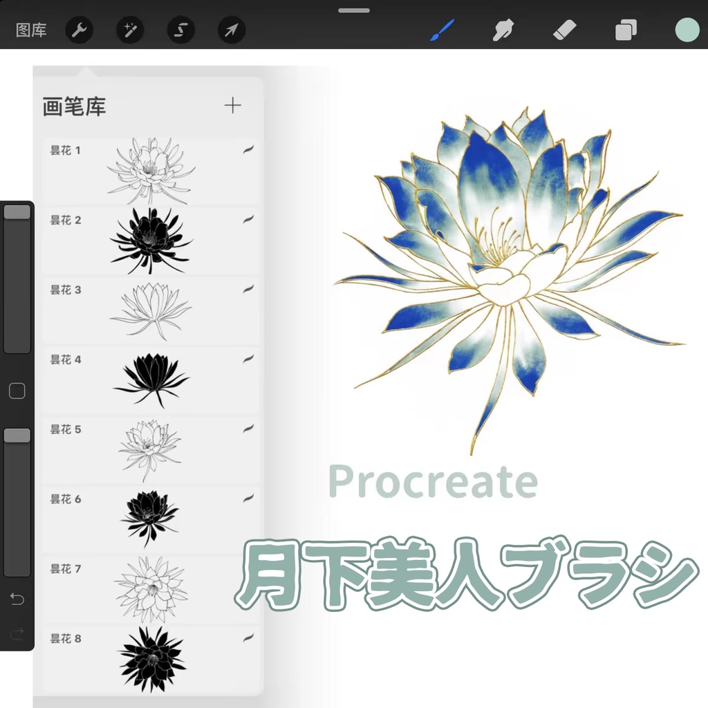 月下美人ブラシ【Procreate用】