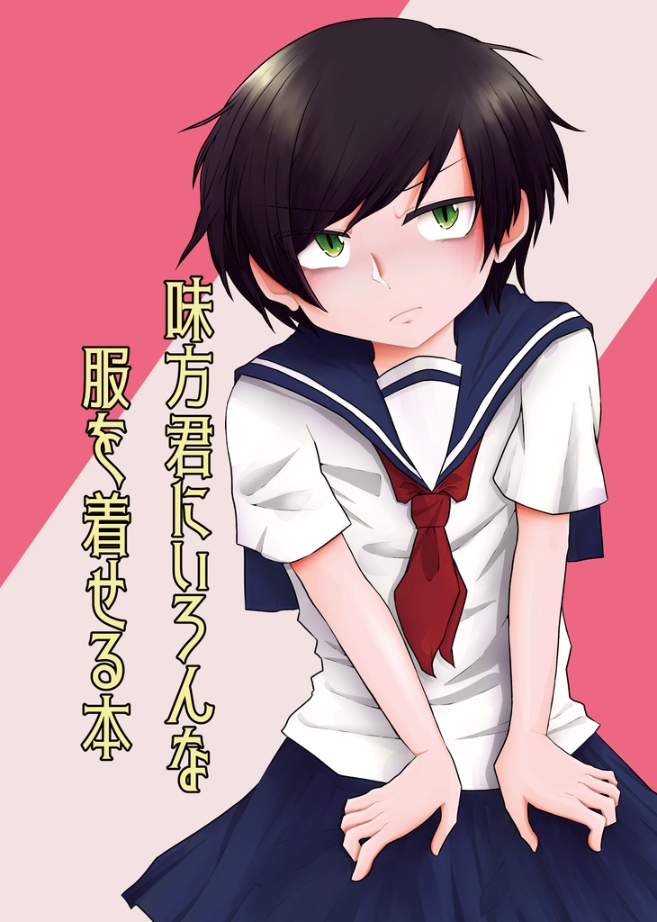 【DL販売】味方君にいろんな服を着せる本