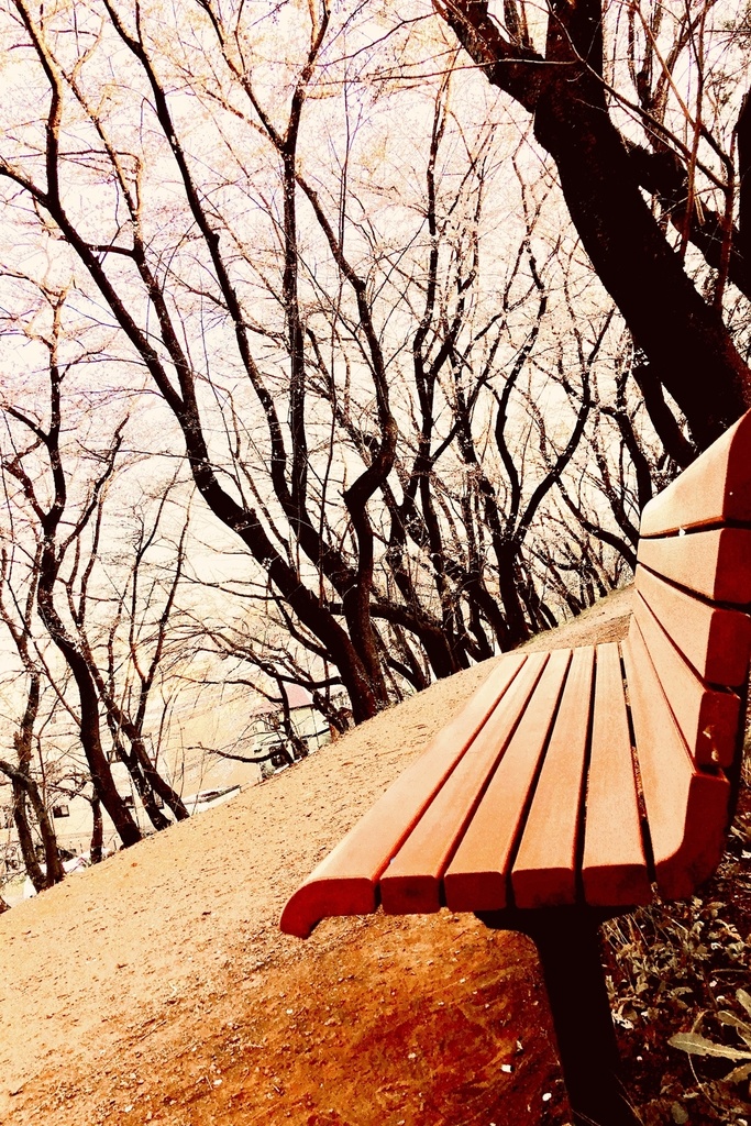 【写真素材】花系なんでもない写真集その3【商業利用・加工フリー】