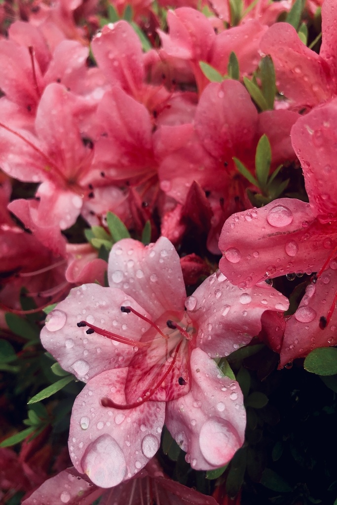 【写真素材】なんでもない写真集その4【商業利用・加工フリー】