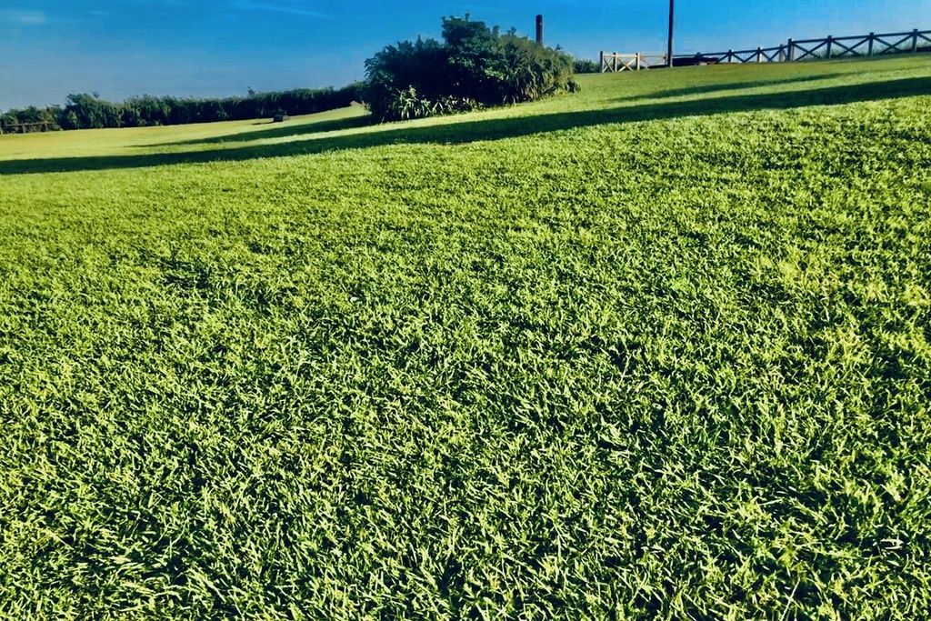 【写真素材】なんでもない写真集その6【商業利用・加工フリー】