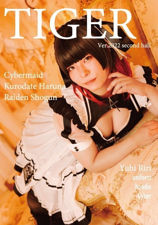 TIGER ver.2022 second half