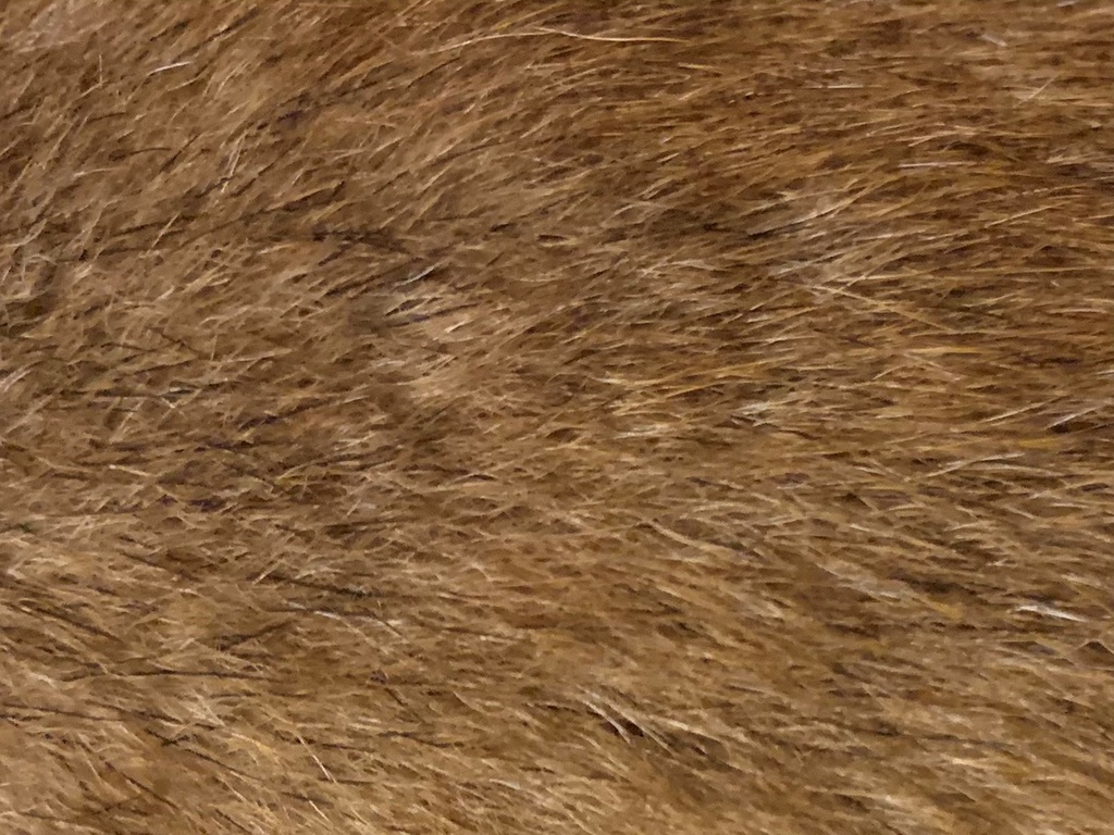 茶柴犬の毛柄マスキングテープ