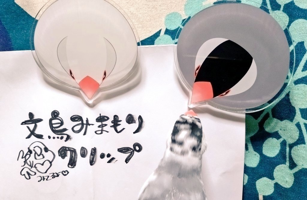 文鳥みまもりクリップ