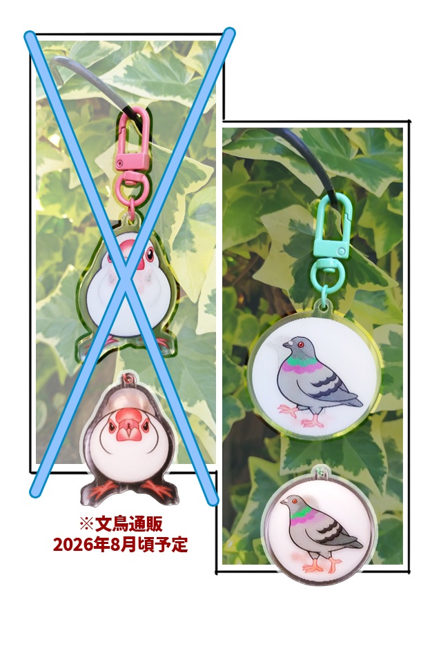 レンチキュラーアクキー