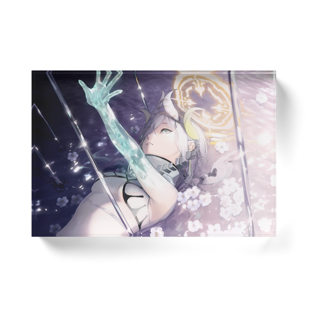 U/0 DIPHYllElA アクリルブロック