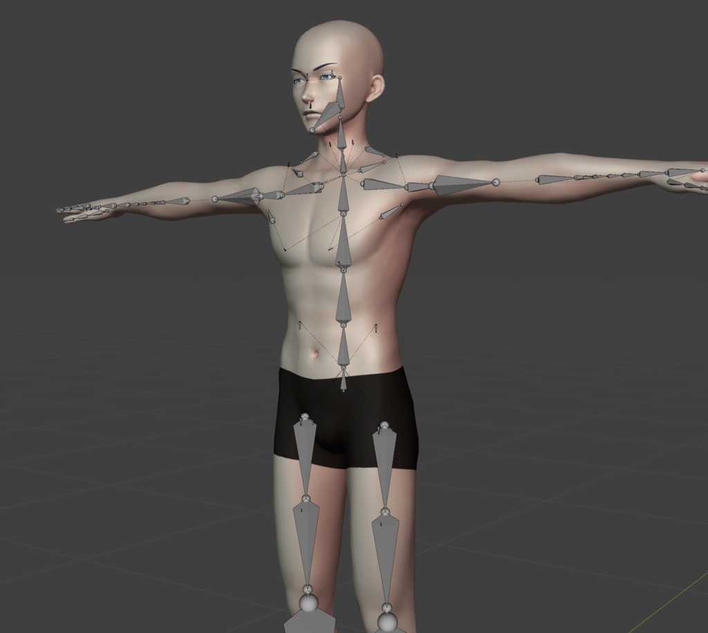 オリジナル3Dモデル 颯 -HAYATE-