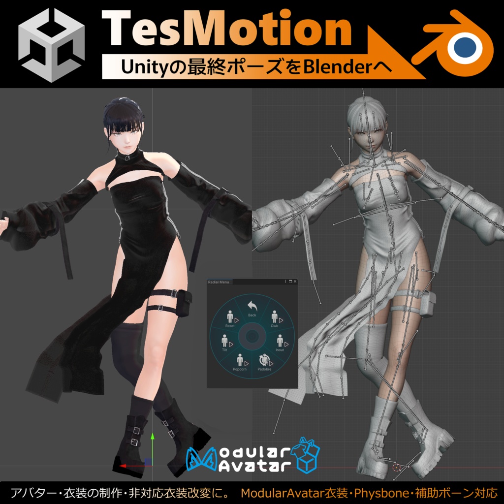 TesMotion