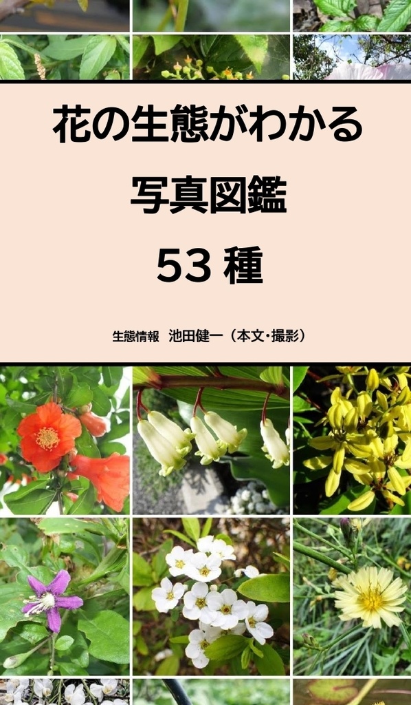 生態情報　BOOTH　花の生態がわかる写真図鑑　53種