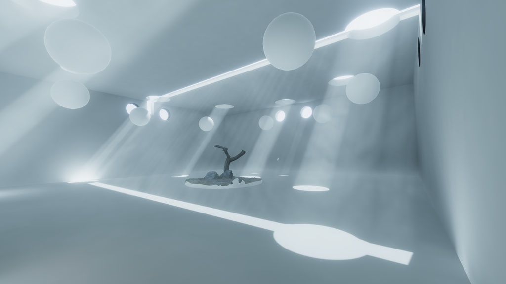 VoxKVolumetricDirectionalLight