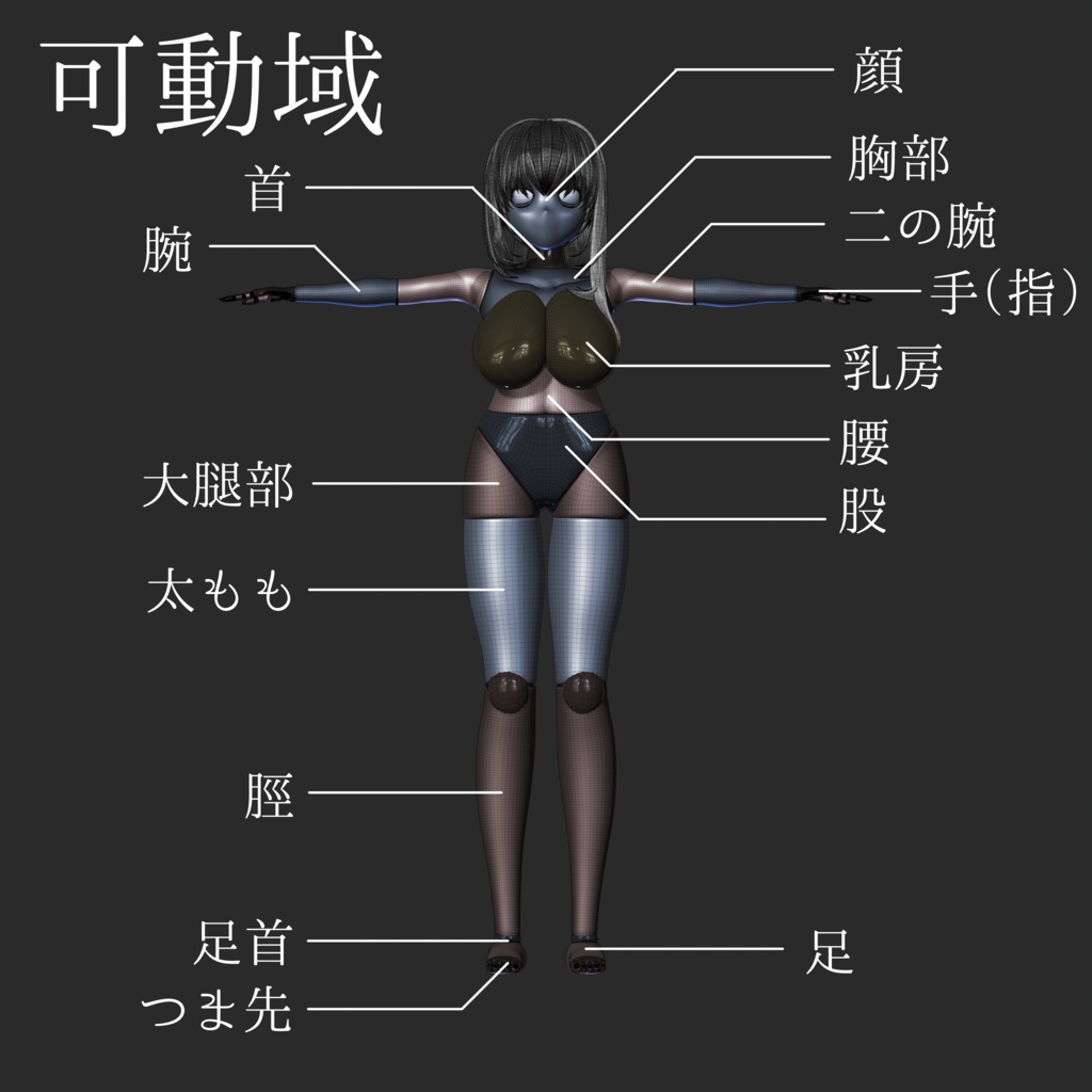 【NomadSculpt】【3DCG】【動素体】ポージングパペット女性型V1