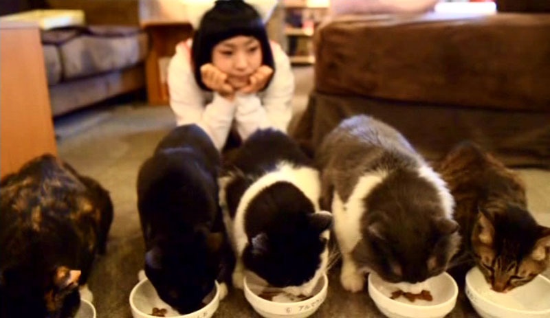 IDOL NEWSING vol.1 アザージャケAver.