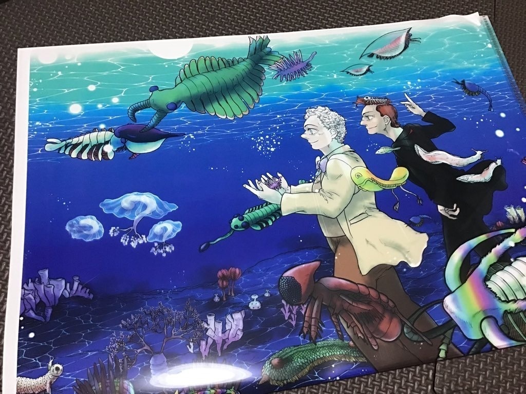 カンブリアオーメンズクリアファイル