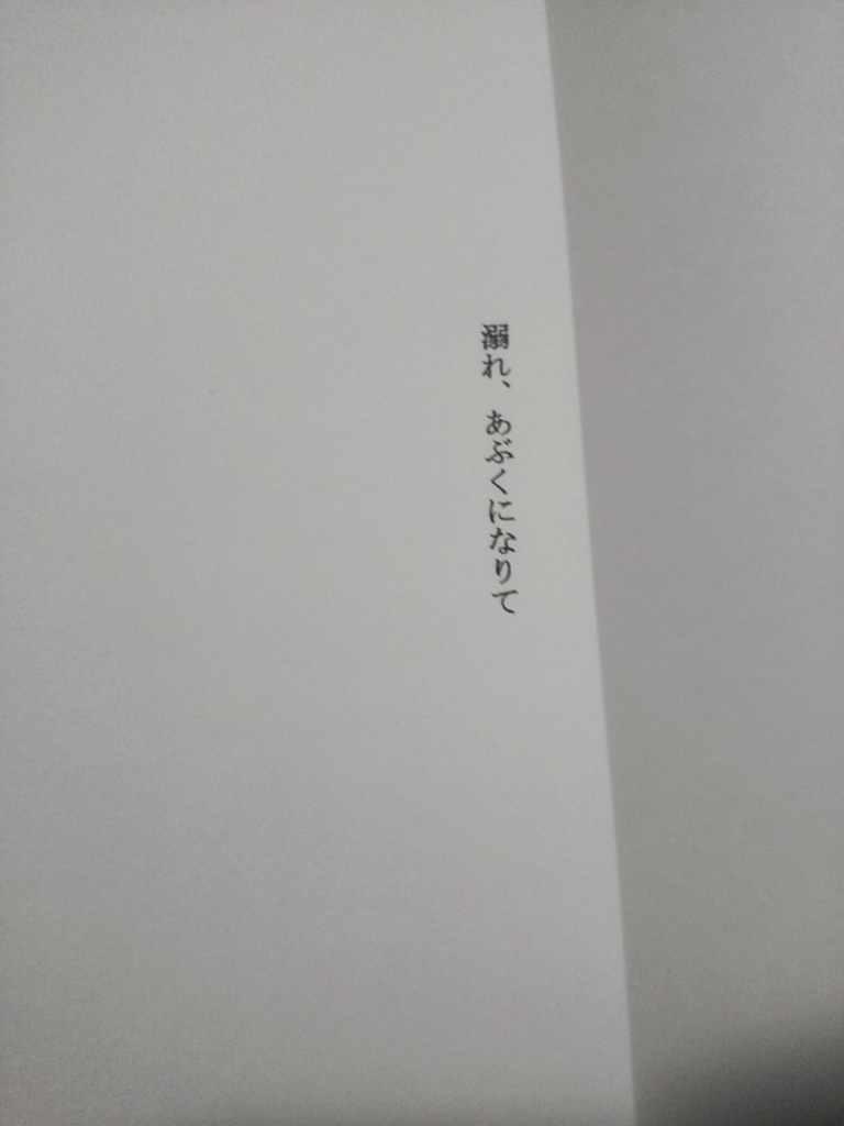 《ZINE》情念ノート/溺れ、あぶくになりて