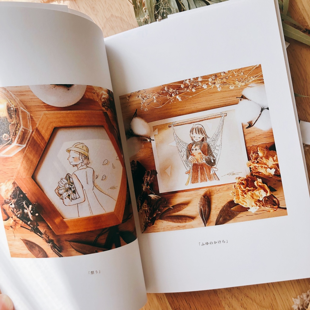 作品集 「curtain」