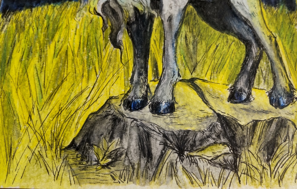 ペン画 水彩 『月夜の雄山羊』原画 100×148mm