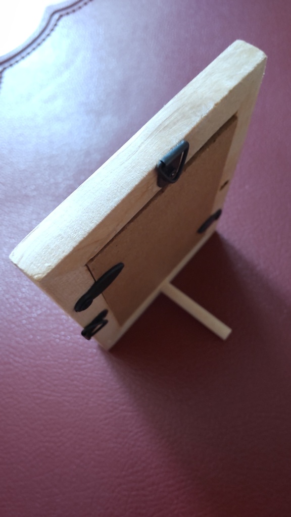 額装ミニ原画『私の好きなコト』