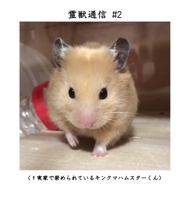 霊獣通信 ♯2