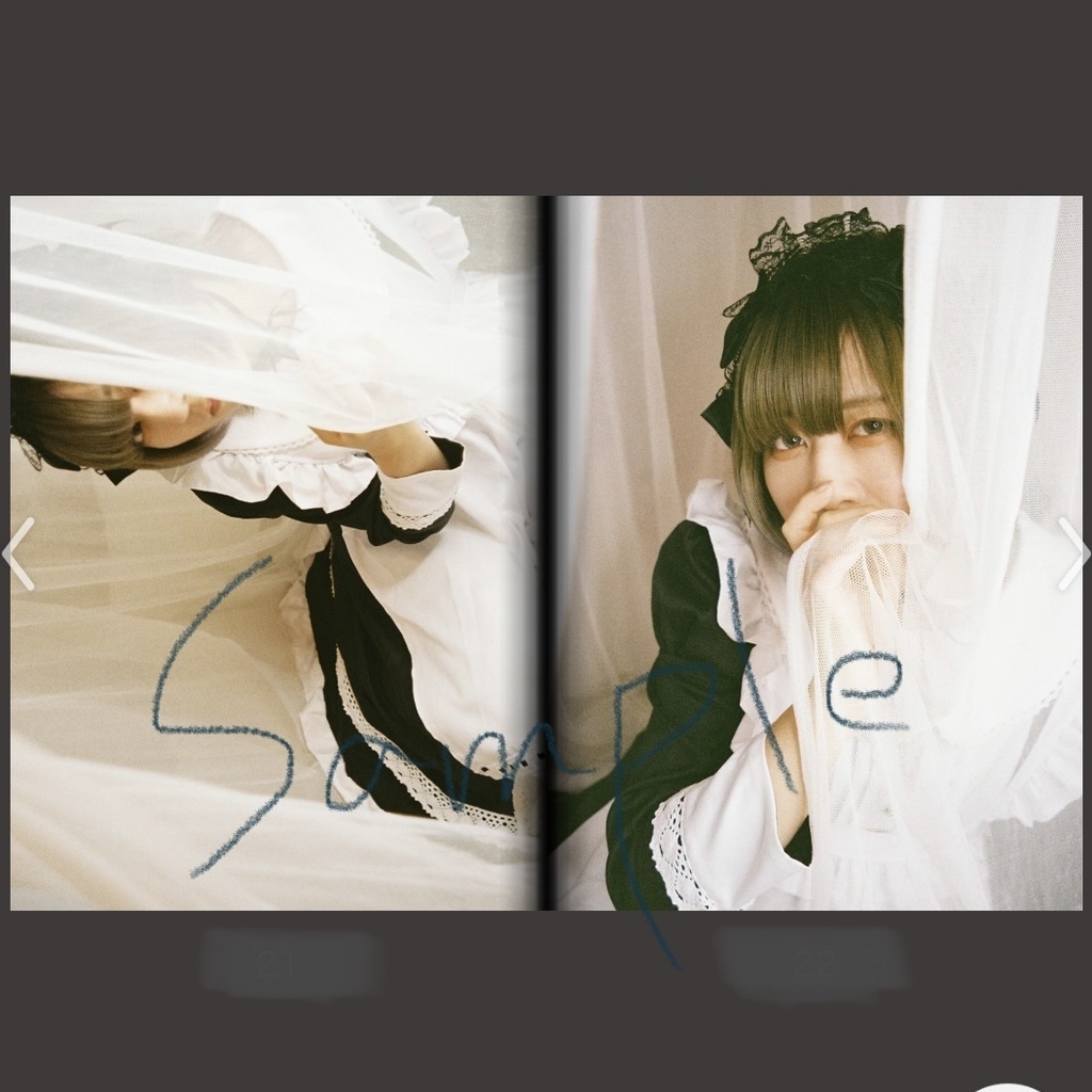 メイドの憂鬱【2冊set】