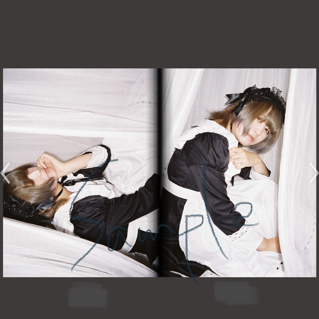 メイドの憂鬱【2冊set】