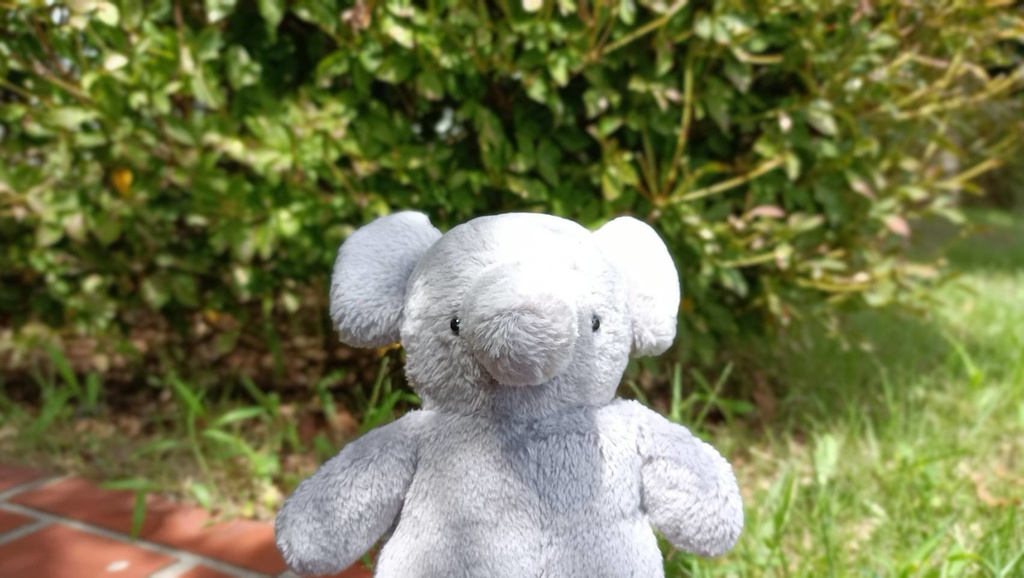 受注制作 もふもふな象のふぃん