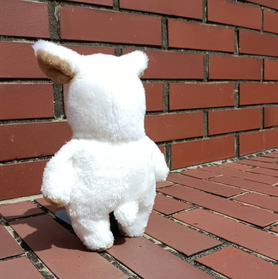 あるぱかのぶらんこ