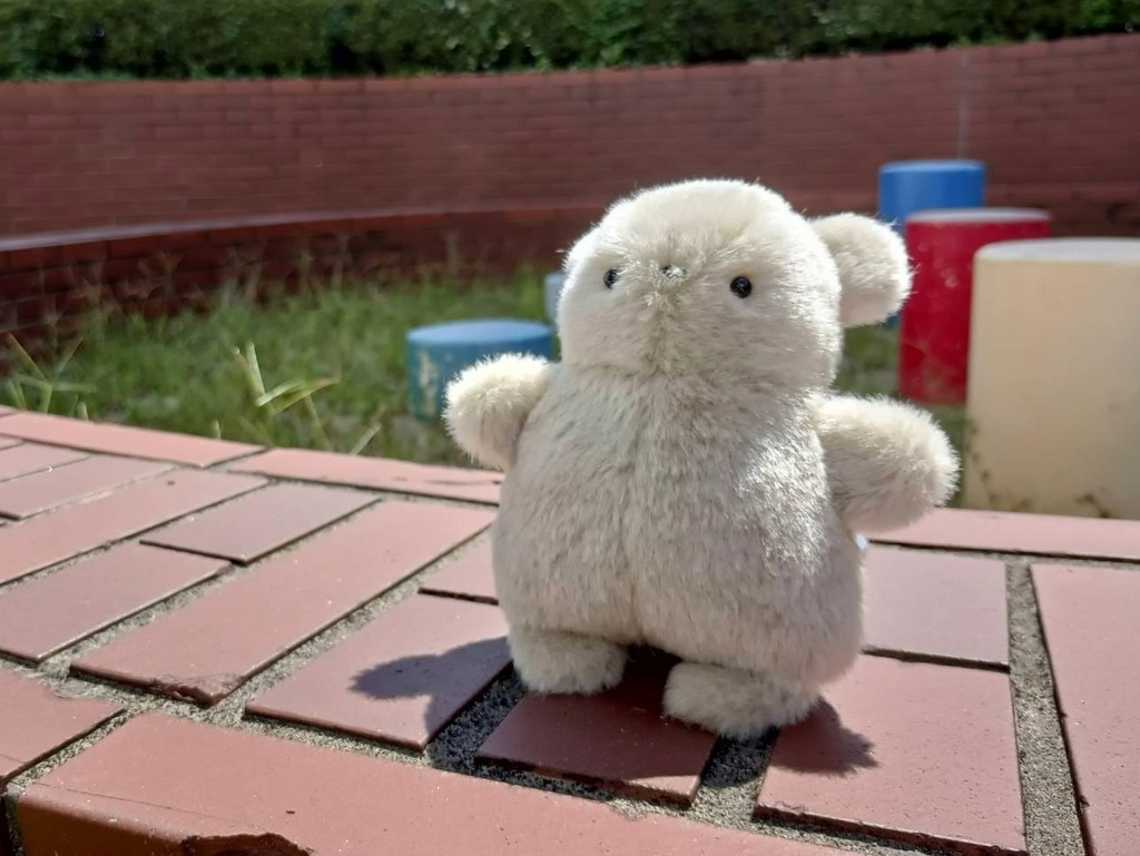 受注制作 ナキウサギのぴかくん