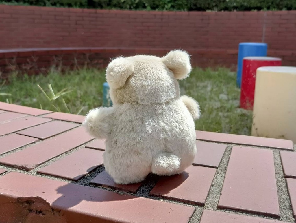 受注制作 ナキウサギのぴかくん