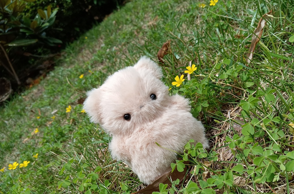 ふわふわのちっちゃいくまくん