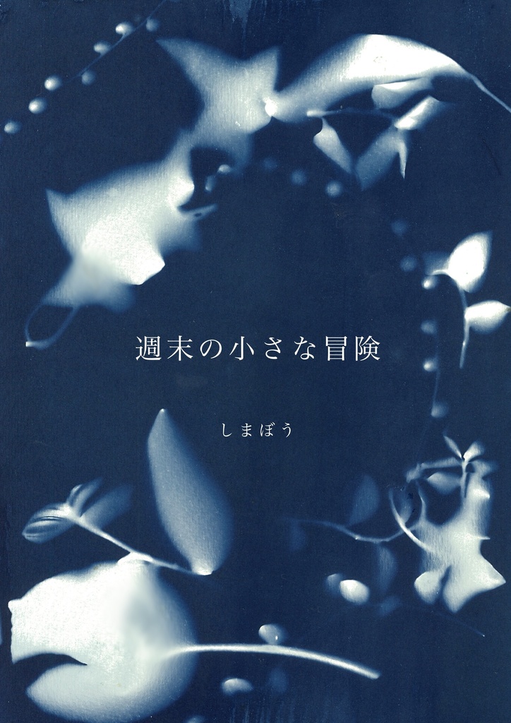 週末の小さな冒険