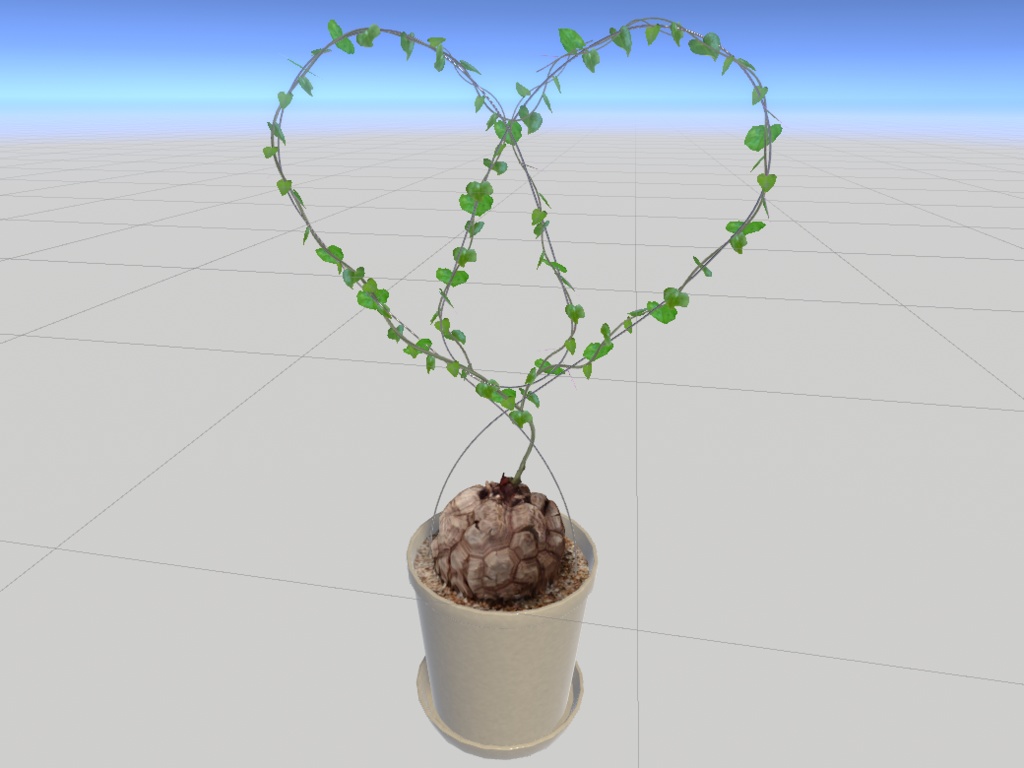亀甲竜(Dioscorea elephantipes)【3Dモデル/Unity向け/多肉植物】