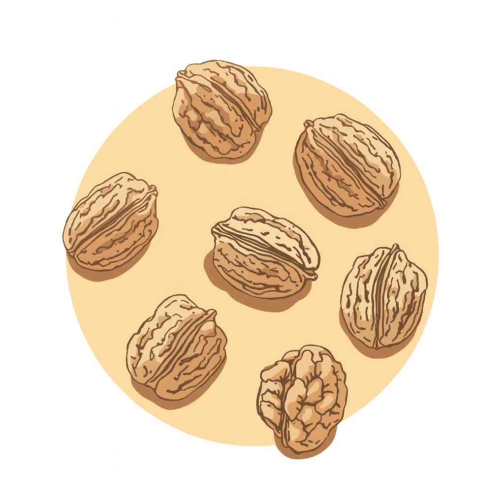 秋の果物 × カフェ風クリップアートセット