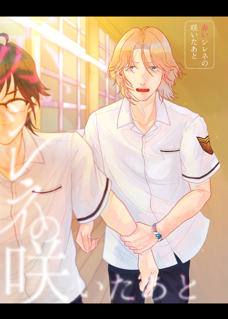 赤いシレネの咲いたあと