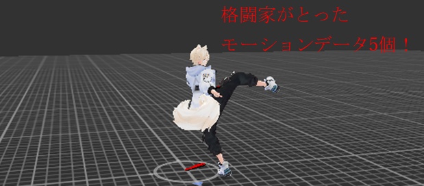 （無料）現役格闘家が撮ったファイトモーション　5個