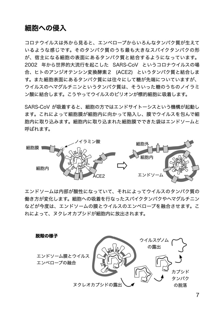 まるわかり!コロナウイルス