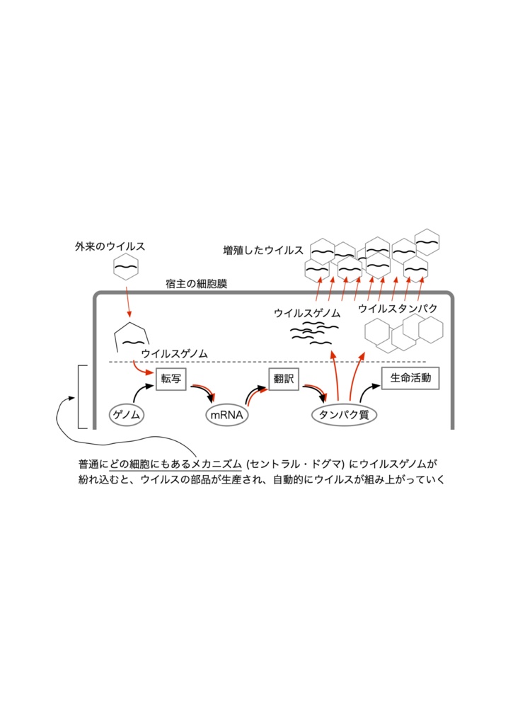 まるわかり!コロナウイルス