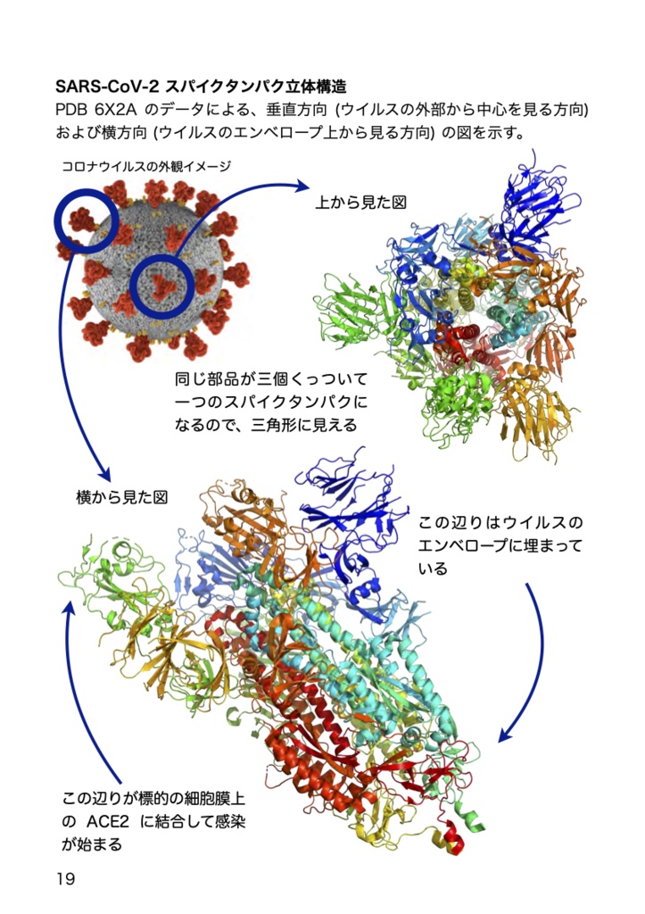 新しい原理による空前のワクチン開発