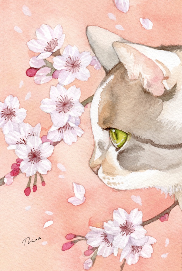 三毛猫と桜　原画