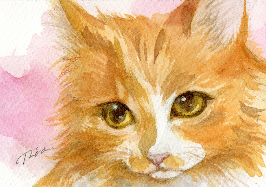 卸し売り購入 アクリル画 夏の公園の猫 A３ 絵画 - katch.co.il