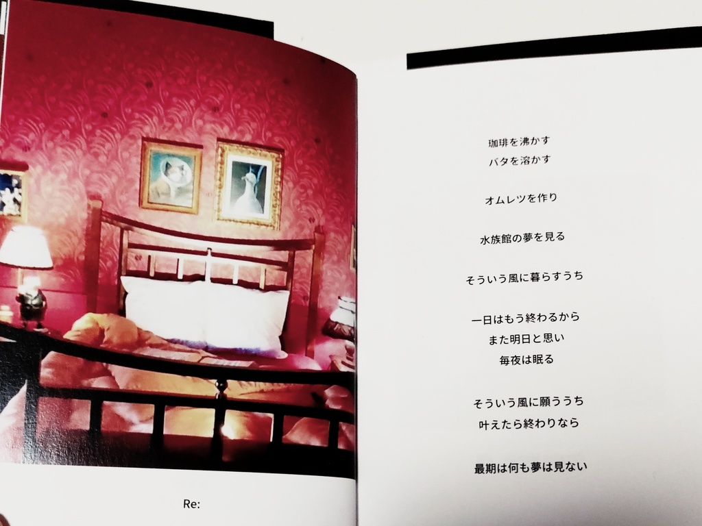 詩集「Jane Doe」