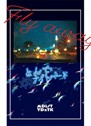 【1/25滑走２再販】とんでナイトバード