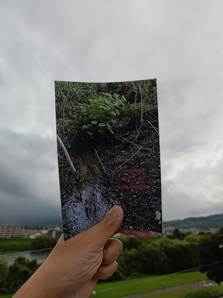 クラリネット啄木　クラリネット鶯　写真集 #00『試作』