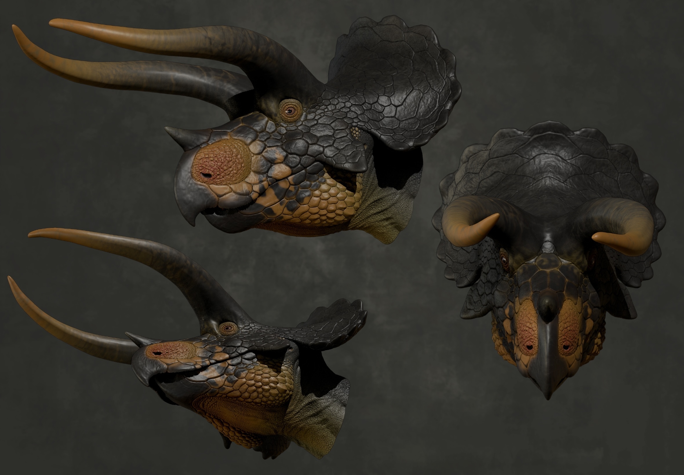 トリケラトプス BOOTH