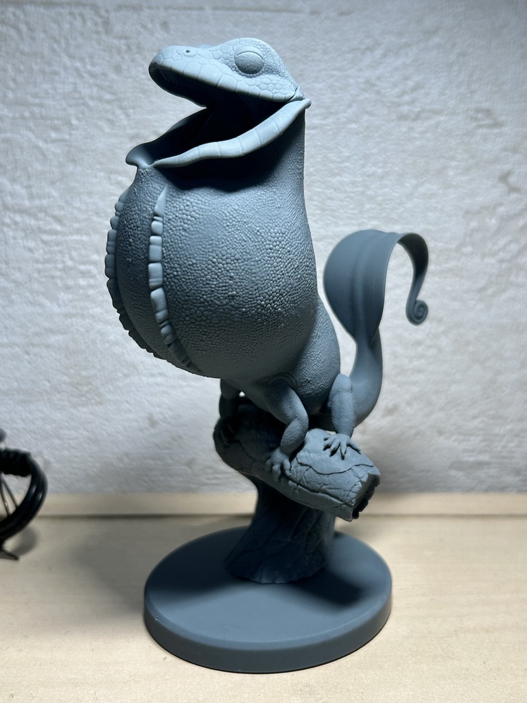 セキエキカズラ