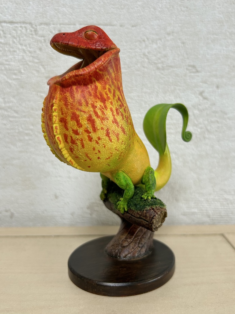 セキエキカズラ