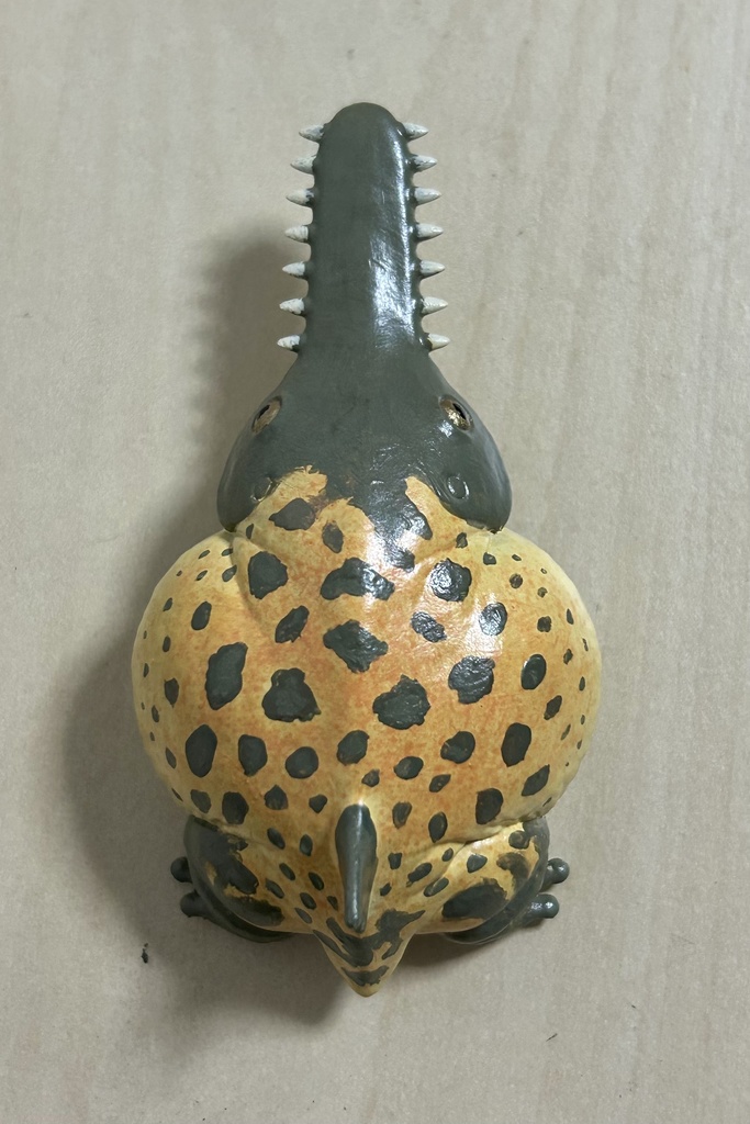 鋸蛙