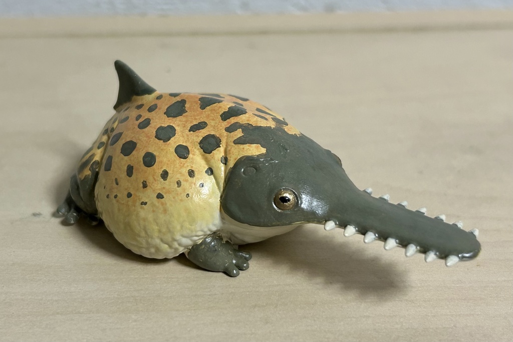鋸蛙